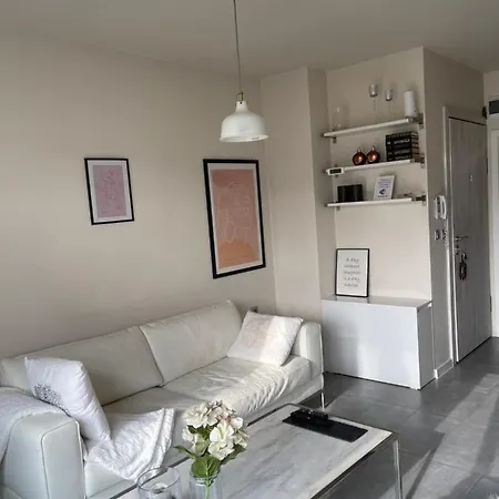 Luxury Apartment