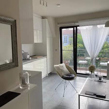 Luxury Apartment